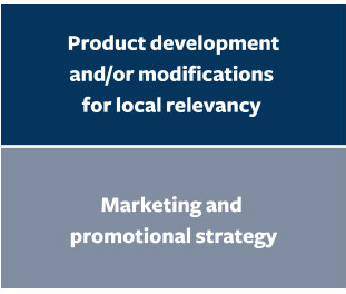 Product Development. Marketing and promotional strategy