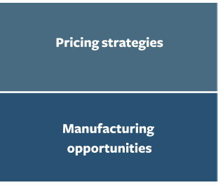 Pricing Strategies. Manufacturing opportunities